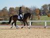 Cindy Carpenter and Utrillo - 2013 US Dressage National Finals<br />Image 5 of 28