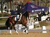 Cindy Carpenter and Utrillo - 2013 US Dressage National Finals<br />Image 12 of 28