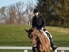 Cindy Carpenter and Utrillo - 2013 US Dressage National Finals<br />Image 14 of 28