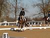 Cindy Carpenter and Utrillo - 2013 US Dressage National Finals<br />Image 15 of 28