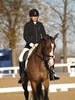 Cindy Carpenter and Utrillo - 2013 US Dressage National Finals<br />Image 17 of 28