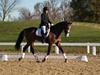 Cindy Carpenter and Utrillo - 2013 US Dressage National Finals<br />Image 18 of 28