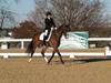 Cindy Carpenter and Utrillo - 2013 US Dressage National Finals<br />Image 19 of 28