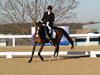 Cindy Carpenter and Utrillo - 2013 US Dressage National Finals<br />Image 21 of 28