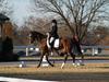 Cindy Carpenter and Utrillo - 2013 US Dressage National Finals<br />Image 22 of 28