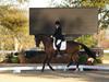 Cindy Carpenter and Utrillo - 2013 US Dressage National Finals<br />Image 23 of 28