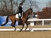 Cindy Carpenter and Utrillo - 2013 US Dressage National Finals<br />Image 25 of 28