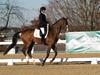 Cindy Carpenter and Utrillo - 2013 US Dressage National Finals<br />Image 26 of 28