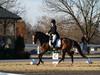 Cindy Carpenter and Utrillo with Jodie Kelly - 2013 US Dressage National Finals<br />Image 27 of 28